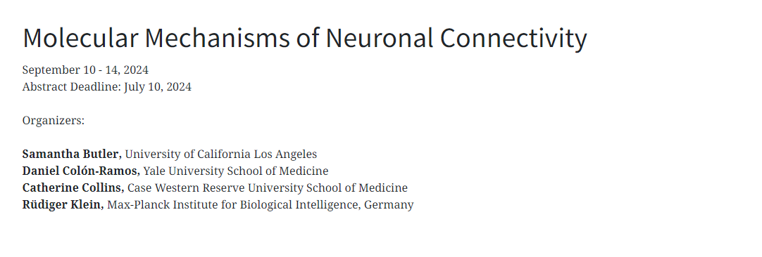 Molecular Mechanisms of Neuronal Connectivity